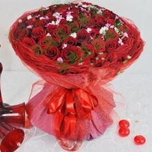 圣诞玫瑰花图片