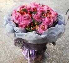 圣诞玫瑰花图片