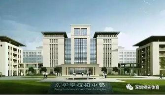 东莞东华政府背景,东莞东华政府背景下的创新与发展概览