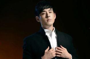 演员刘欢个人资料,音乐巨匠的辉煌人生与艺术成就